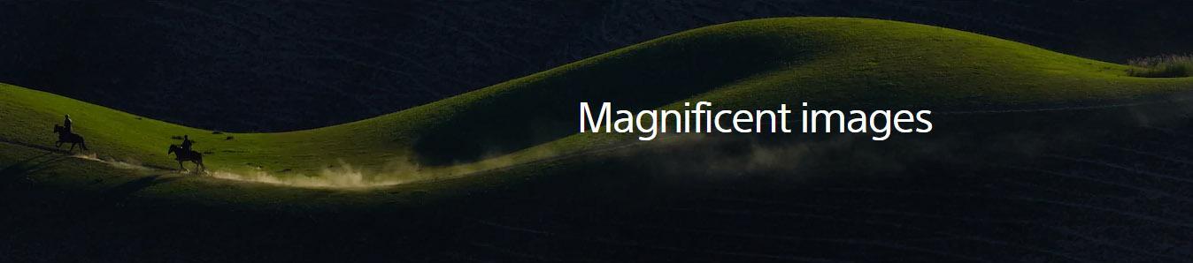 عکسهای دوربین سونی a6600