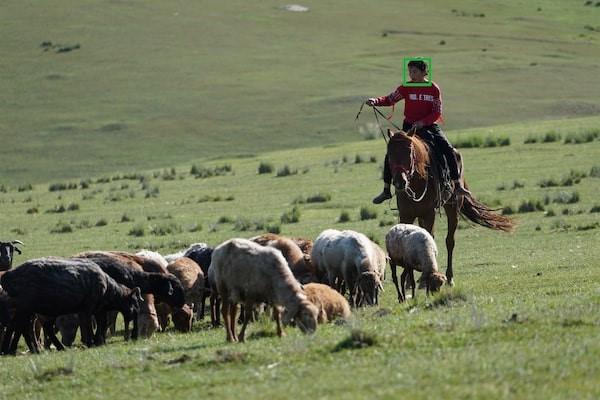 دوربین عکاسی سونی آلفا 6600