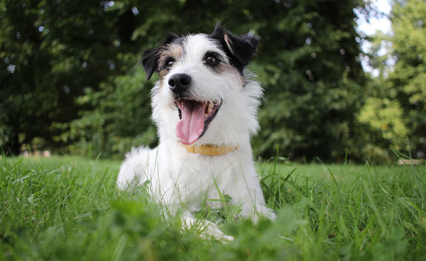 نمونه عکس با لنز کانن مدل Canon EF-S 24mm f/2.8 STM