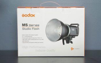 فلاش تک شاخه گودکس MS200