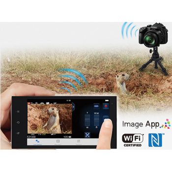 دوربین پاناسونیک FZ1000