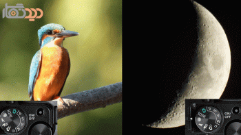 نمونه عکس با دوربین عکاسی خانگی نیکون Nikon P950