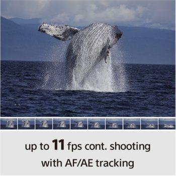 دوربین سونی a6100