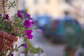 لنز سونی مدل 55mm f/1.8 ZA