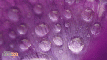 لنز کانن مدل Canon EF-S 60mm f/2.8 Macro USM