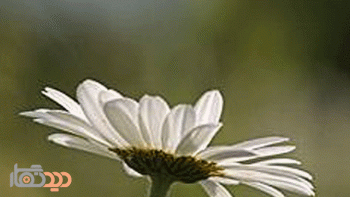 لنز کانن مدل Canon EF 75-300mm f/4-5.6 III