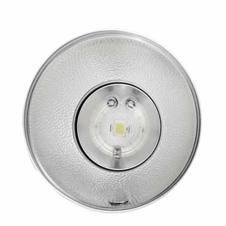 فلاش پرتابل نایس فوتو TTL-480C for canon