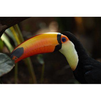 دوربین بدون آینه کانن R6 بدنه