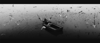 گوپرو هیرو 9