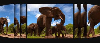 گوپرو هیرو 9