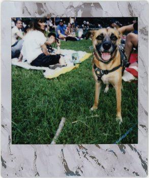 دوربین چاپ سریع فوجی فیلم Square SQ1