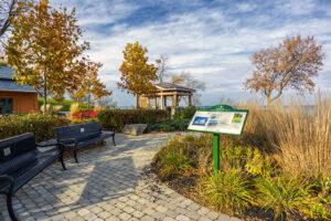 دوربین عکاسی بدون آینه نیکون 1v2