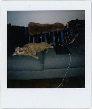 دوربین چاپ سریع فوجی فیلم Square SQ1