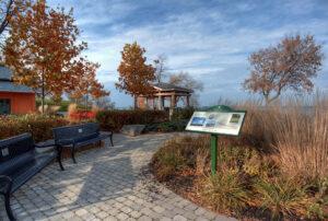 دوربین عکاسی بدون آینه نیکون 1v2