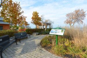 دوربین عکاسی بدون آینه نیکون 1v2