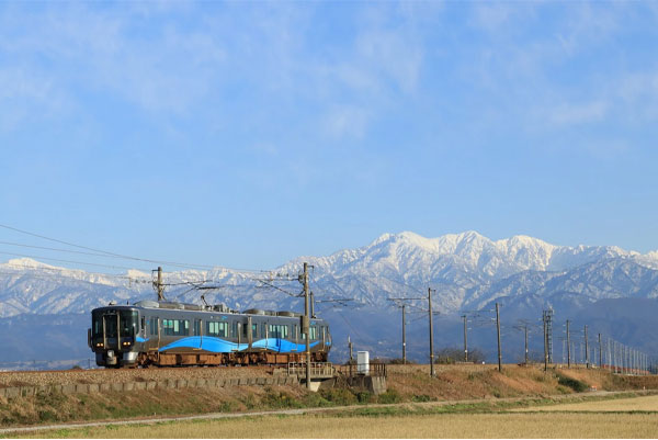 نمونه تصویر با دوربین عکاسی کانن Canon 850D 18-135 IS USM