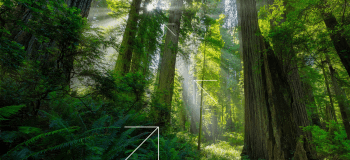 لنز نیکون مدل 14-24mm f/2.8