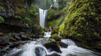 لنز نیکون مدل 14-24mm f/2.8