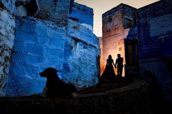 فلاش پروفتو Profoto B10 Plus OCF Flash Head