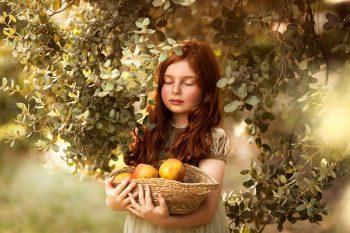 فلاش پروفتو Profoto B10 Plus OCF Flash Head