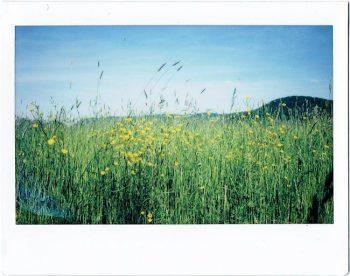 نمونه عکس با دوربین فوجی فیلم FUJIFILM INSTAX Wide 300