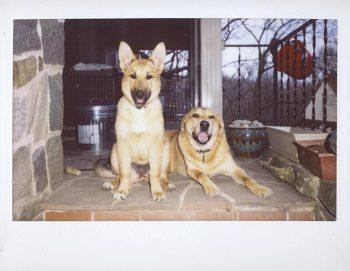 نمونه عکس با دوربین فوجی فیلم FUJIFILM INSTAX Wide 300 Instant Film Camera