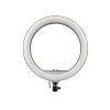 رینگ لایت Ring Light YQ-350