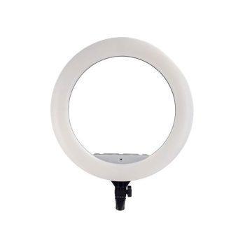 ringlight jl f348