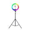 رینگ لایت Ring Light YQ-310-P