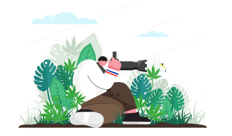 عکاسی طبیعت