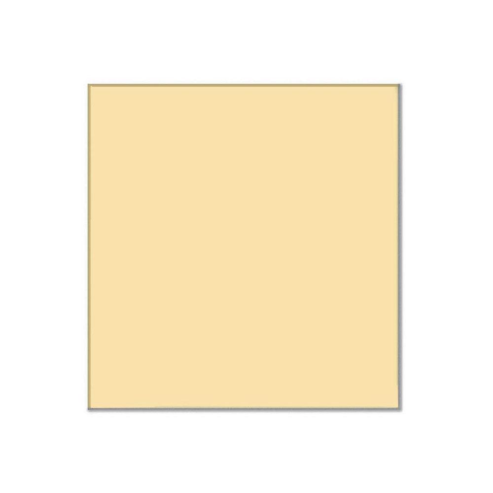 فیلتر کوکین Cokin P028 Warm 81C Color Conversion Resin Filter