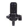 میکروفن آدیو تکنیکا Audio-Technica AT2050