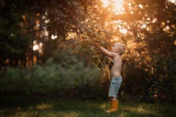 لنز Sigma 105mm f/1.4 DG