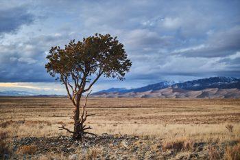 نمونه عکس با لنز کانن Canon RF 50mm f/1.2L