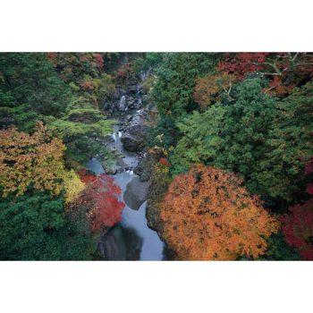 لنز سونی Sony FE 16-35mm