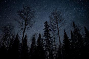 لنز Sigma 24mm f/1.4