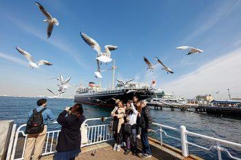 لنز Sigma 14mm f/1.8 DG