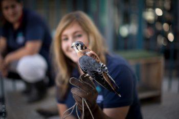 نمونه عکس با لنز کانن Canon RF 50mm f/1.2L