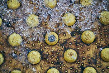 لنز سونی Sony E 55-210mm