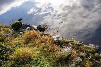 لنز Sigma 35mm f/2 DG DN