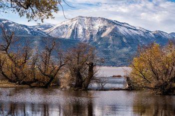 لنز سونی Sony E 55-210mm