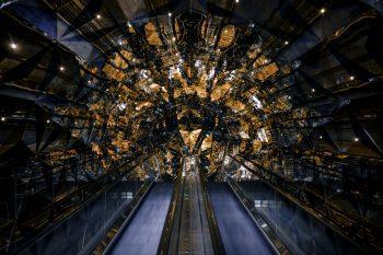 لنز نیکون Nikon NIKKOR Z 24mm f/1.8 S