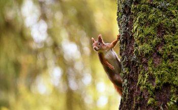 لنز تامرون Tamron 70-210mm f/4