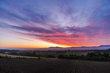 لنز Tamron 24mm f/2.8