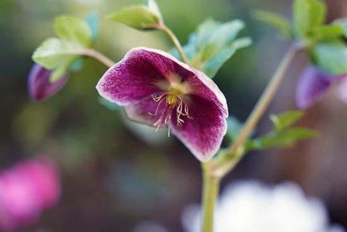 کیفیت بالا تصویر با لنز Sigma 24-70mm f/2.8