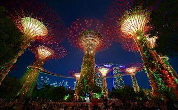 لنز سونی Sony FE 12-24mm f/4 G