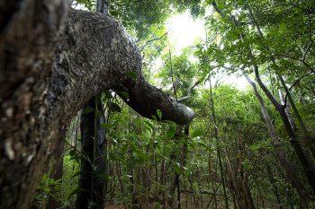 نمونه عکس با لنز کانن Canon EF 16-35mm f/2.8L