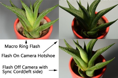 رینگ فلاش میک Meike MK-14EXT TTL for Nikon