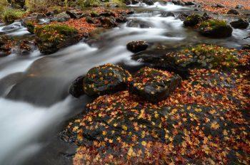 نمونه عکس با لنز نیکون Nikon NIKKOR 18-35mm f/3.5-4.5D ED-IF
