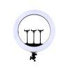 رینگ لایت اچ کیو Ring Light HQ 18N